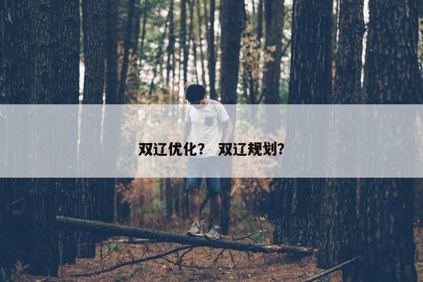 双辽优化? 双辽规划?