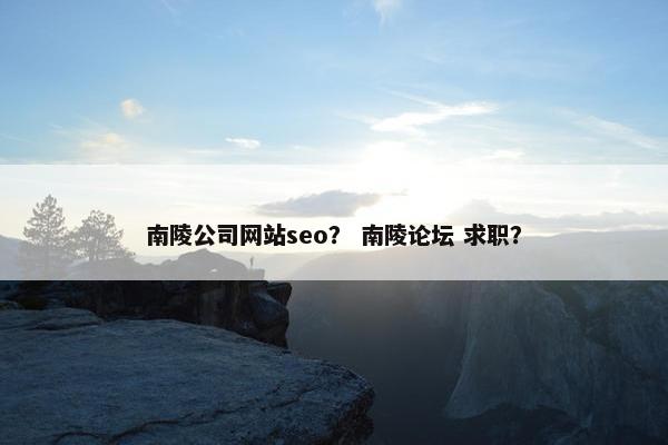 南陵公司网站seo? 南陵论坛 求职?