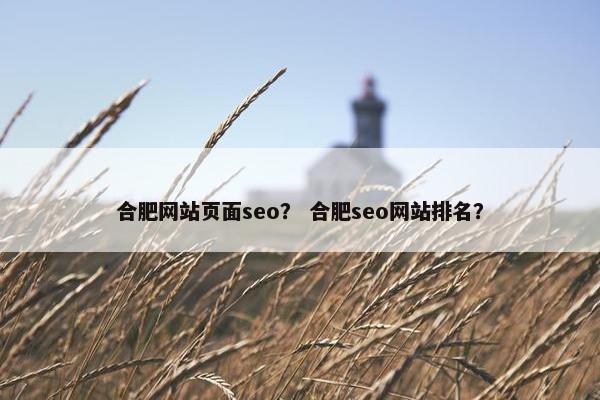 合肥网站页面seo? 合肥seo网站排名?