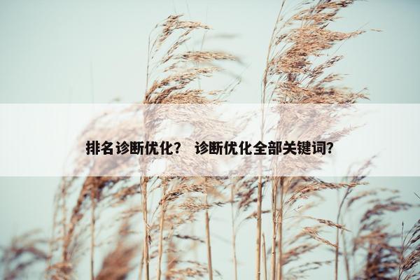 排名诊断优化? 诊断优化全部关键词?
