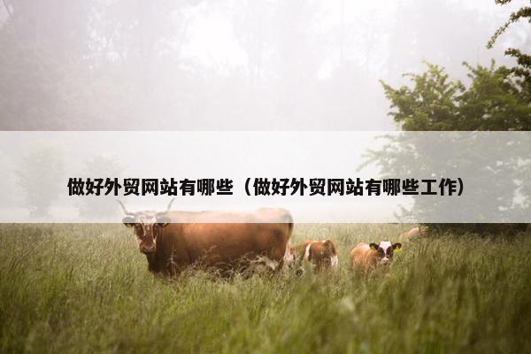 做好外贸网站有哪些（做好外贸网站有哪些工作）