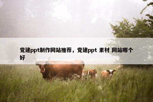 党建ppt制作网站推荐,党建ppt 素材 网站哪个好