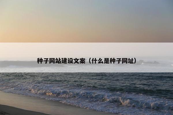 种子网站建设文案(什么是种子网址)