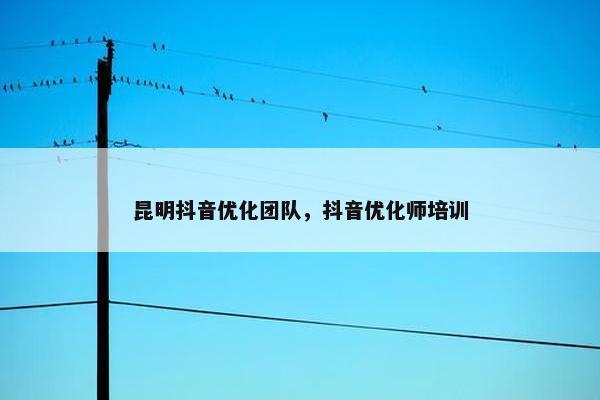 昆明抖音优化团队，抖音优化师培训