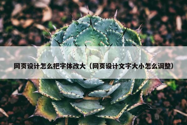 网页设计怎么把字体改大(网页设计文字大小怎么调整)