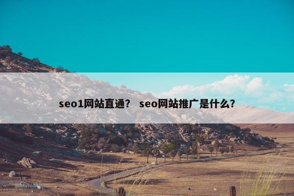 seo1网站直通? seo网站推广是什么?