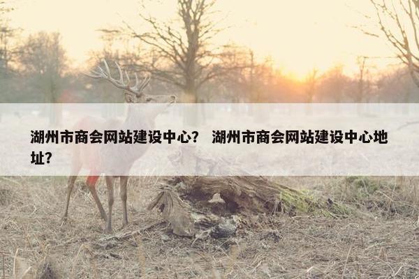 湖州市商会网站建设中心? 湖州市商会网站建设中心地址?
