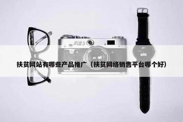 扶贫网站有哪些产品推广(扶贫网络销售平台哪个好)