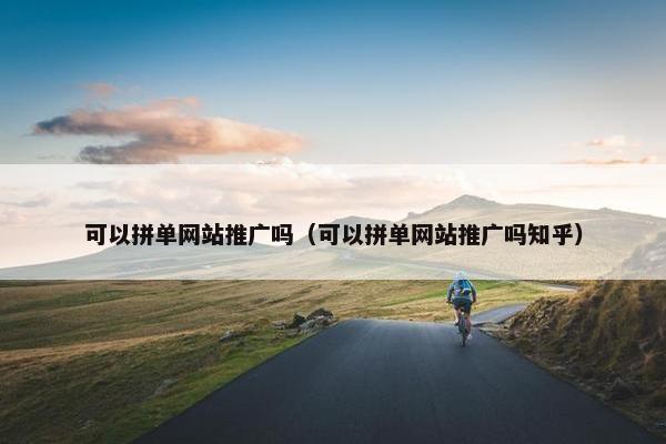 可以拼单网站推广吗(可以拼单网站推广吗知乎)