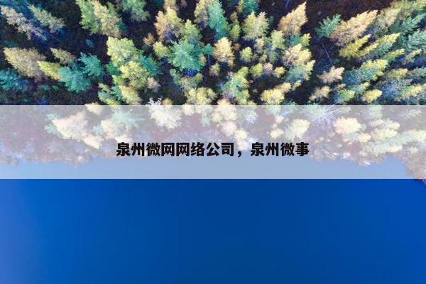 泉州微网网络公司,泉州微事