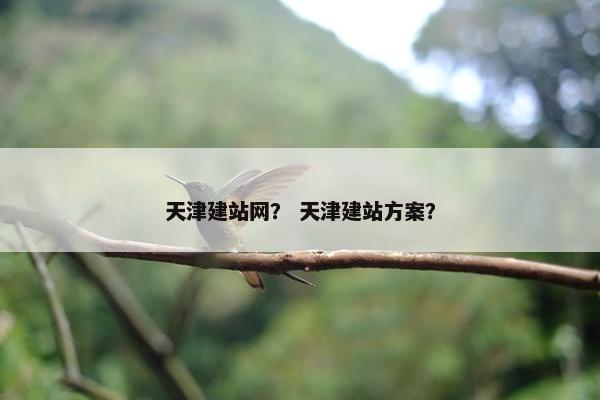 天津建站网? 天津建站方案?