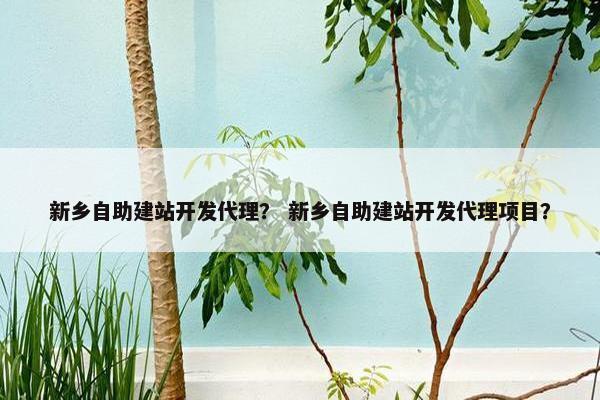 新乡自助建站开发代理? 新乡自助建站开发代理项目?