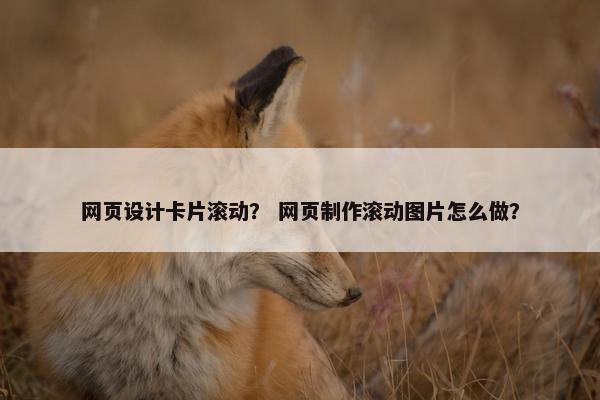 网页设计卡片滚动? 网页制作滚动图片怎么做?