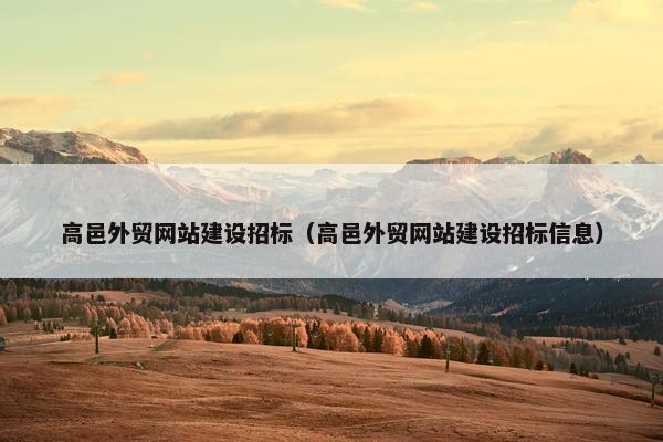 高邑外贸网站建设招标(高邑外贸网站建设招标信息)