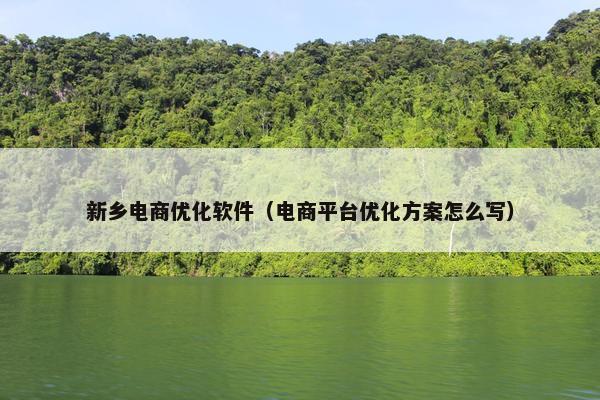 新乡电商优化软件(电商平台优化方案怎么写)