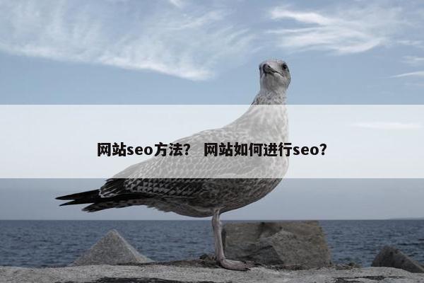 网站seo方法? 网站如何进行seo?