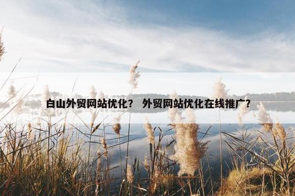 白山外贸网站优化? 外贸网站优化在线推广?