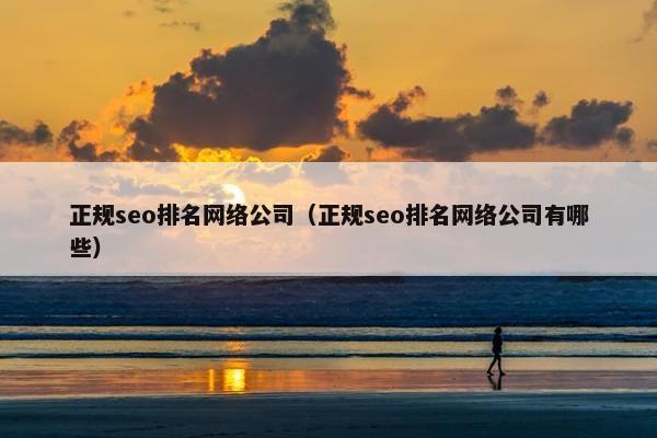 正规seo排名网络公司(正规seo排名网络公司有哪些)
