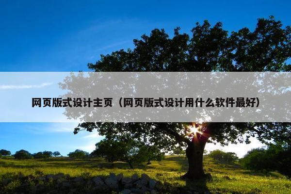网页版式设计主页(网页版式设计用什么软件最好)