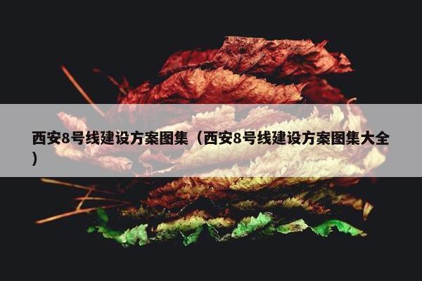 西安8号线建设方案图集(西安8号线建设方案图集大全)