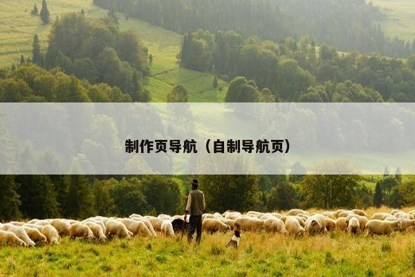 制作页导航(自制导航页)