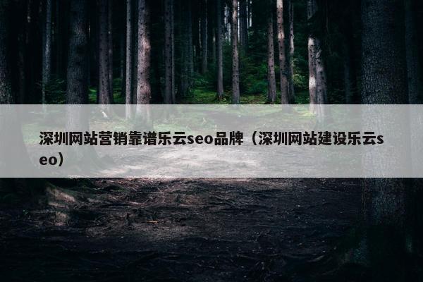 深圳网站营销靠谱乐云seo品牌(深圳网站建设乐云seo)