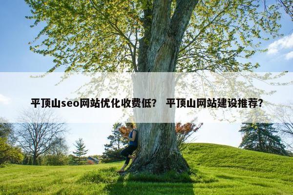 平顶山seo网站优化收费低? 平顶山网站建设推荐?