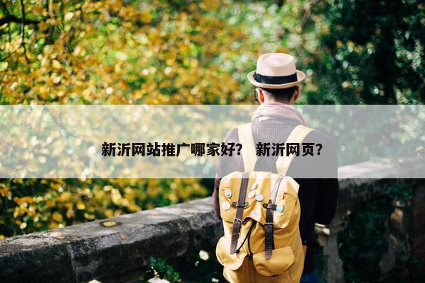 新沂网站推广哪家好? 新沂网页?