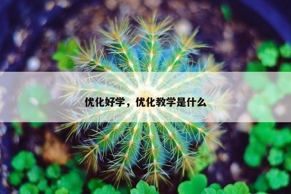 优化好学，优化教学是什么