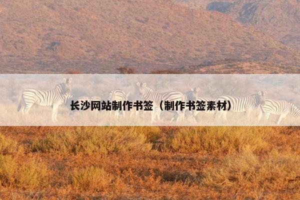 长沙网站制作书签(制作书签素材)