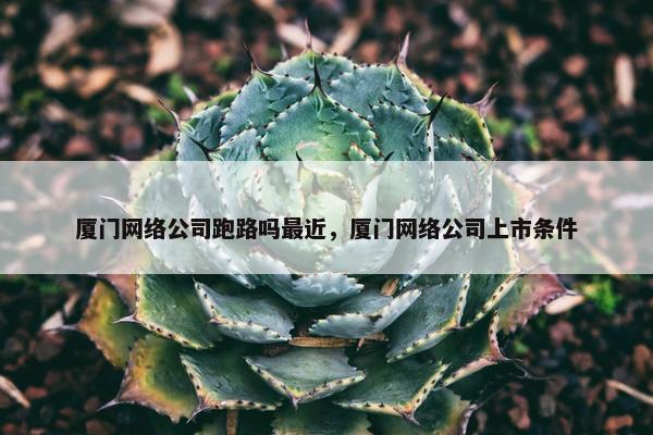 厦门网络公司跑路吗最近,厦门网络公司上市条件