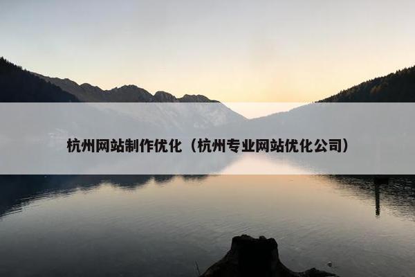 杭州网站制作优化(杭州专业网站优化公司)