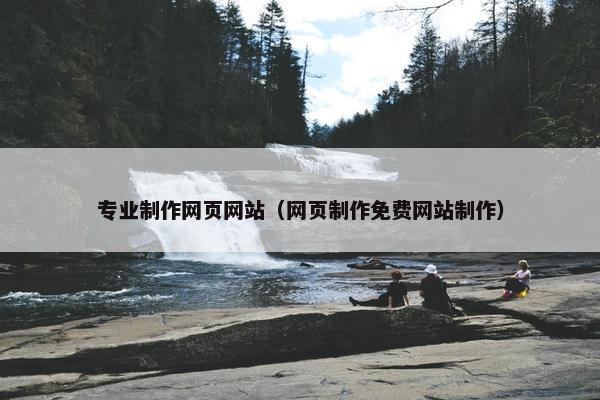 专业制作网页网站(网页制作免费网站制作)