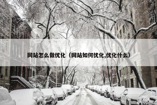 网站怎么做优化(网站如何优化,优化什么)