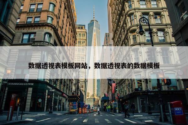 数据透视表模板网站,数据透视表的数据模板