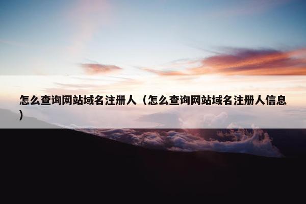 怎么查询网站域名注册人(怎么查询网站域名注册人信息)