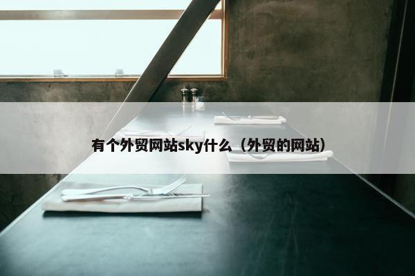 有个外贸网站sky什么(外贸的网站)