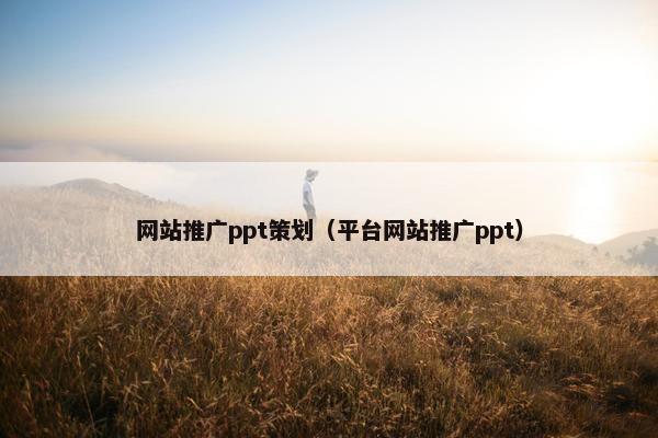 网站推广ppt策划（平台网站推广ppt）