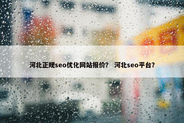河北正规seo优化网站报价? 河北seo平台?