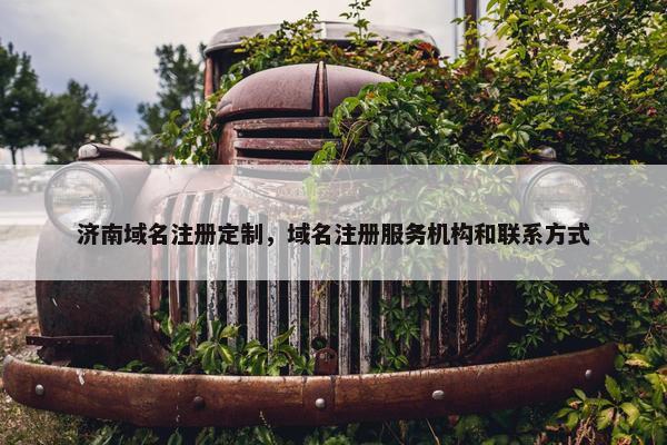 济南域名注册定制,域名注册服务机构和联系方式