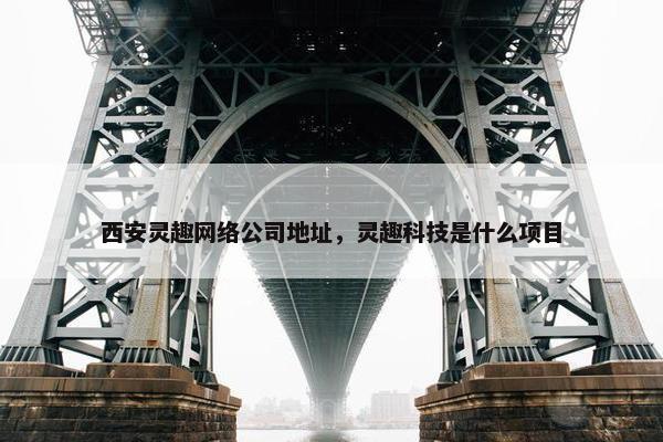 西安灵趣网络公司地址,灵趣科技是什么项目