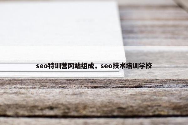 seo特训营网站组成,seo技术培训学校