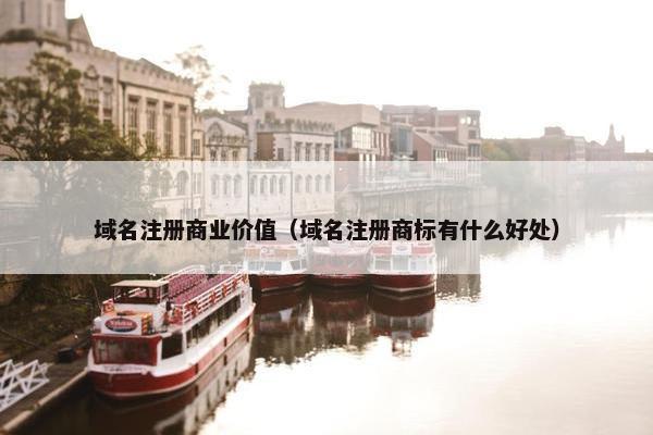 域名注册商业价值（域名注册商标有什么好处）