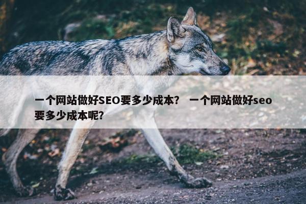 一个网站做好SEO要多少成本? 一个网站做好seo要多少成本呢?