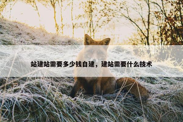 站建站需要多少钱自建,建站需要什么技术