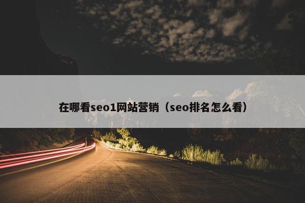 在哪看seo1网站营销(seo排名怎么看)