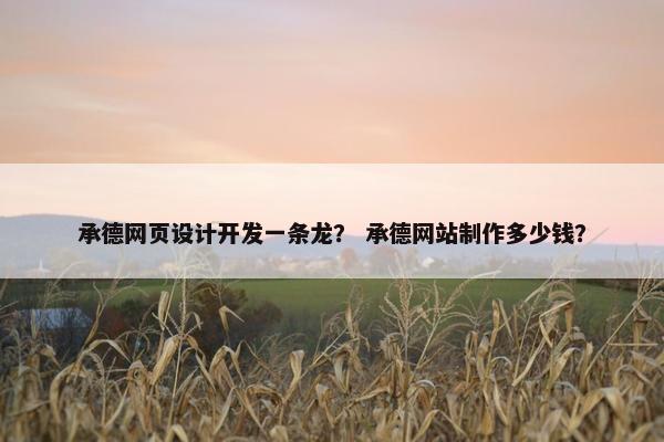 承德网页设计开发一条龙？ 承德网站制作多少钱？