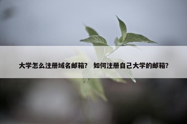 大学怎么注册域名邮箱？ 如何注册自己大学的邮箱？