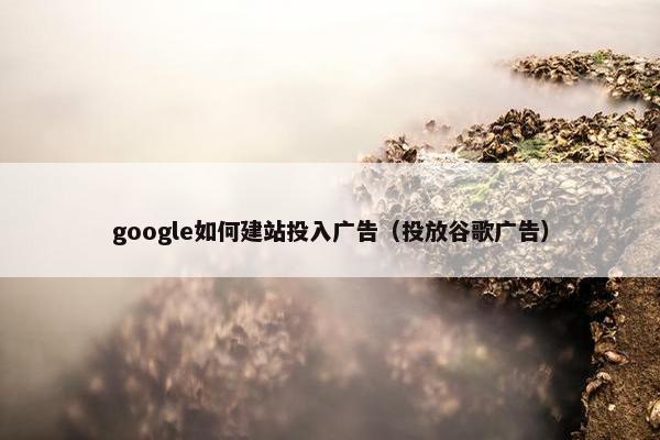 google如何建站投入广告（投放谷歌广告）
