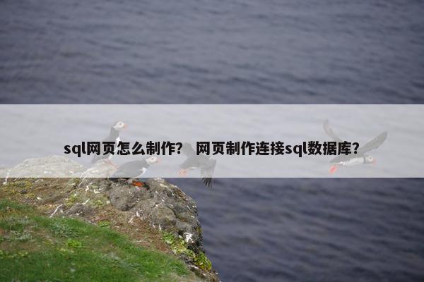 sql网页怎么制作? 网页制作连接sql数据库?